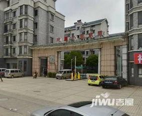 香江大市场最新爆料,揭秘市场风云变幻背后的秘密